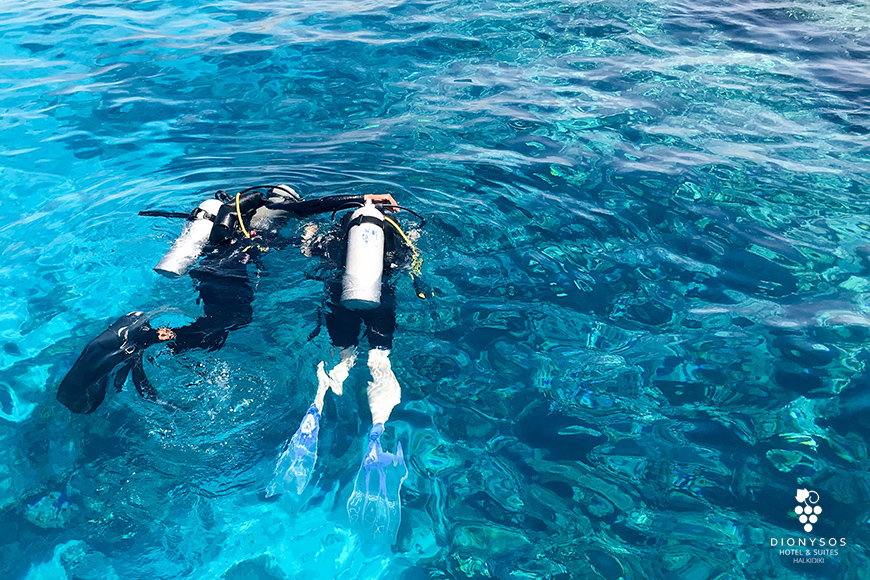 Halkidiki’s Underwater Heaven: A playground for all Divers